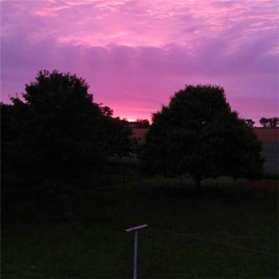 pg电子·模拟器(试玩游戏)下载手机版